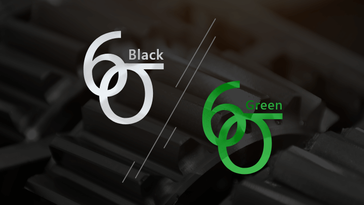 Lean Six Sigma Combo (Green + black) Belt